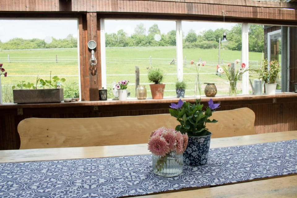 Seating area, Garden view