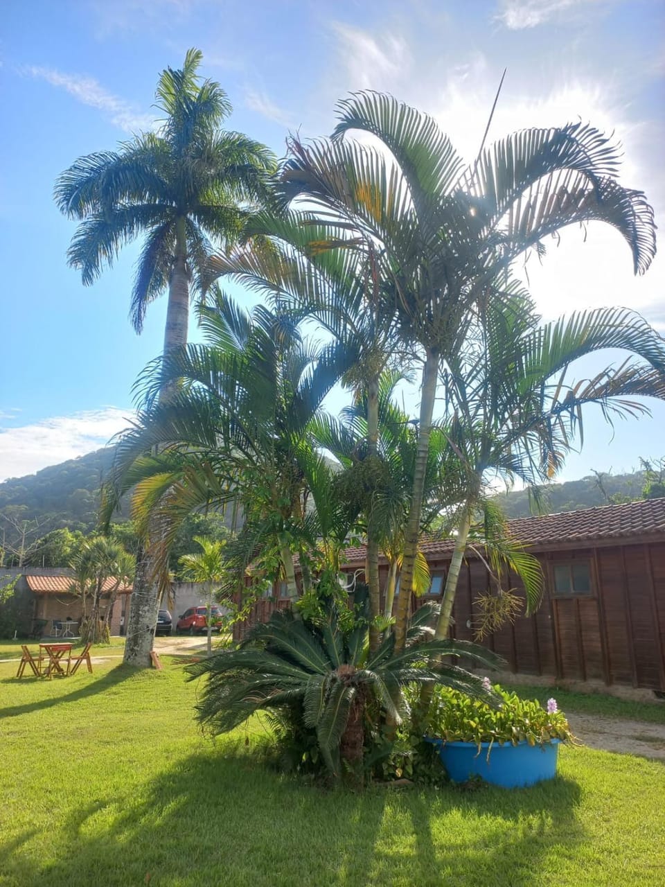 Garden