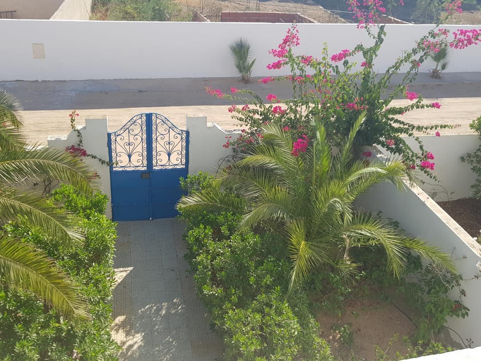 Garden view