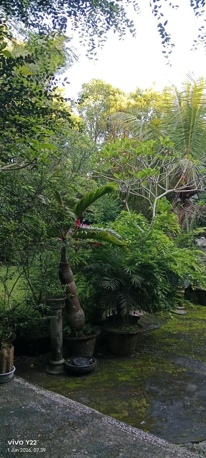 Madu Sentana House Bed and Breakfast in Ubud