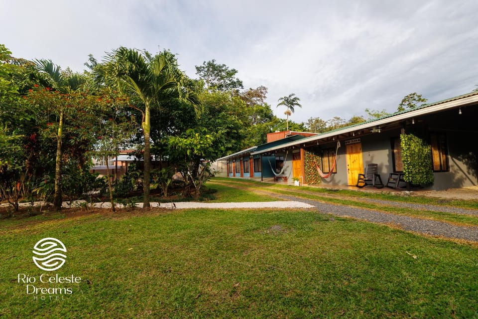 Natural landscape, Garden, Garden view