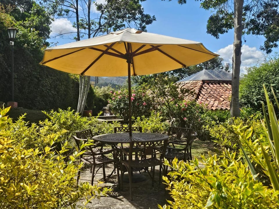 Patio, Garden, Garden view, Breakfast