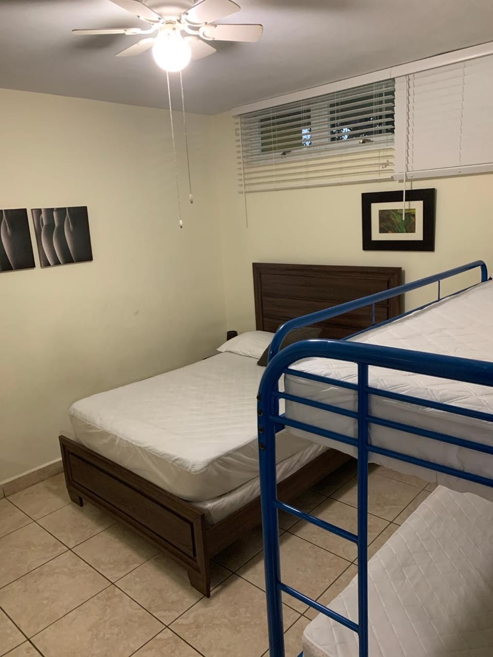 Bed, Photo of the whole room, Bedroom, bunk bed