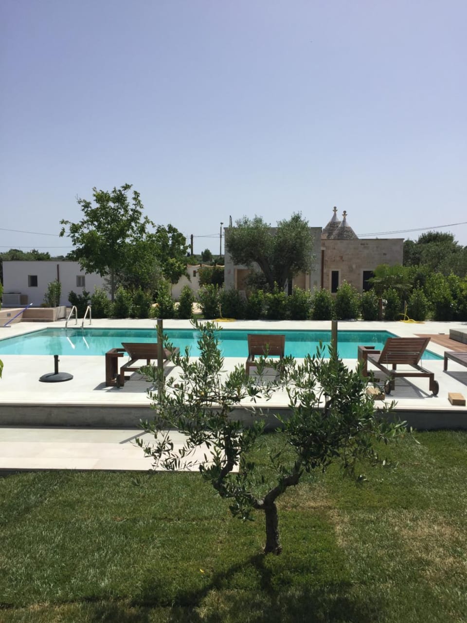 Day, Summer, Garden view, Pool view, Swimming pool