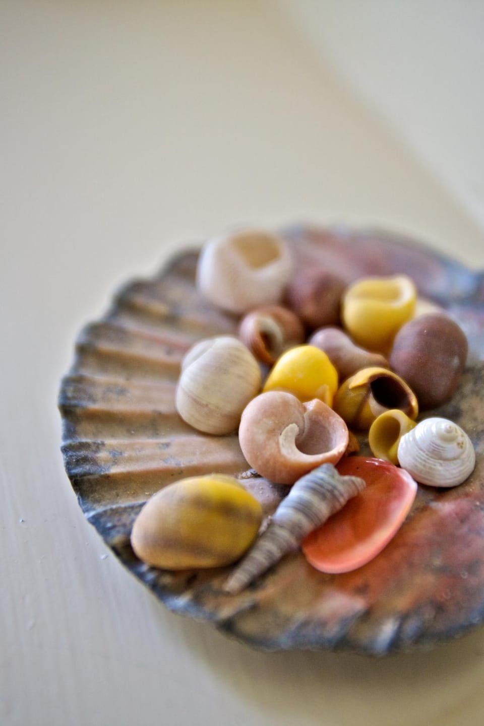 Sebay Mill Holiday Apartments Apartment in Scotland