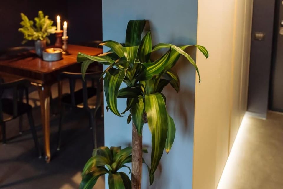 Luxury Downtown Apartment in Bucharest