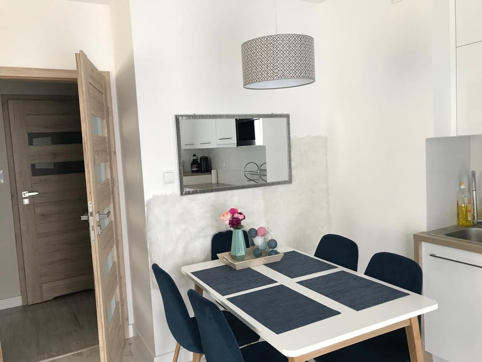 Apart 20 Apartment in Lower Silesian Voivodeship