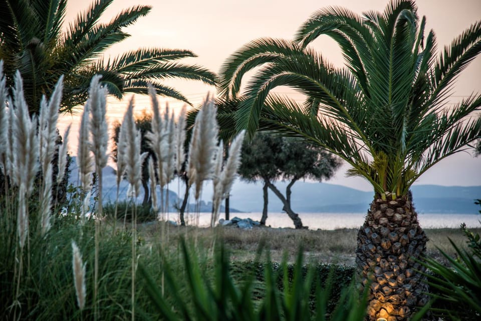 Garden, Sea view