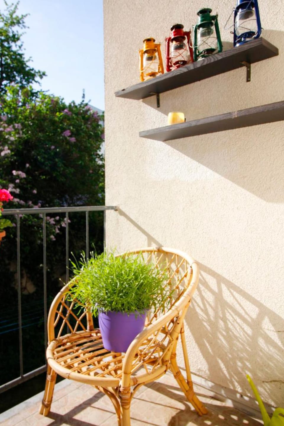 Garden view
