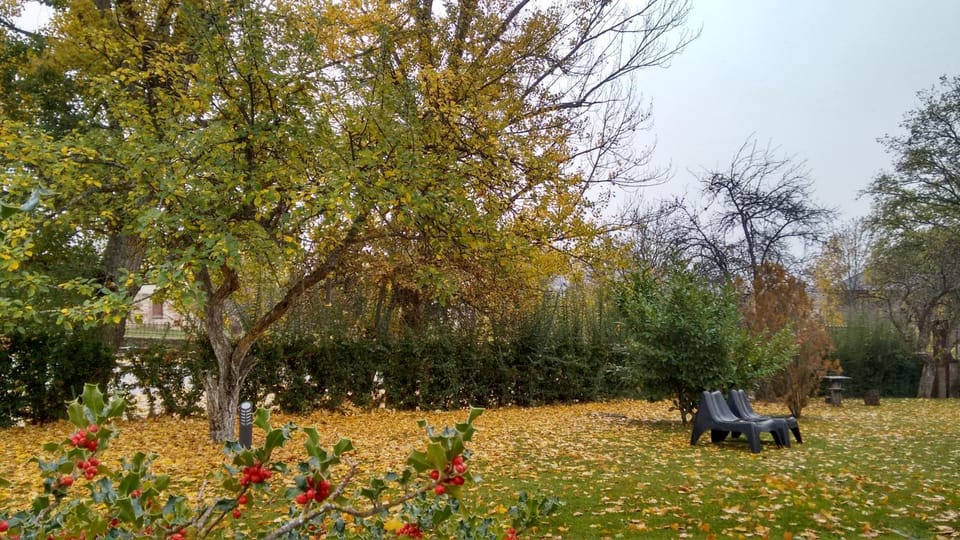 Garden, Autumn