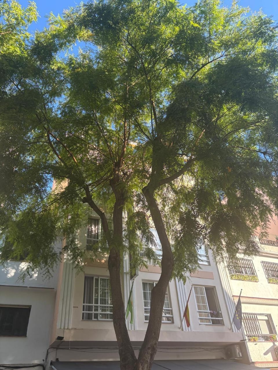 Hotel New Sanz Hotel in Torremolinos