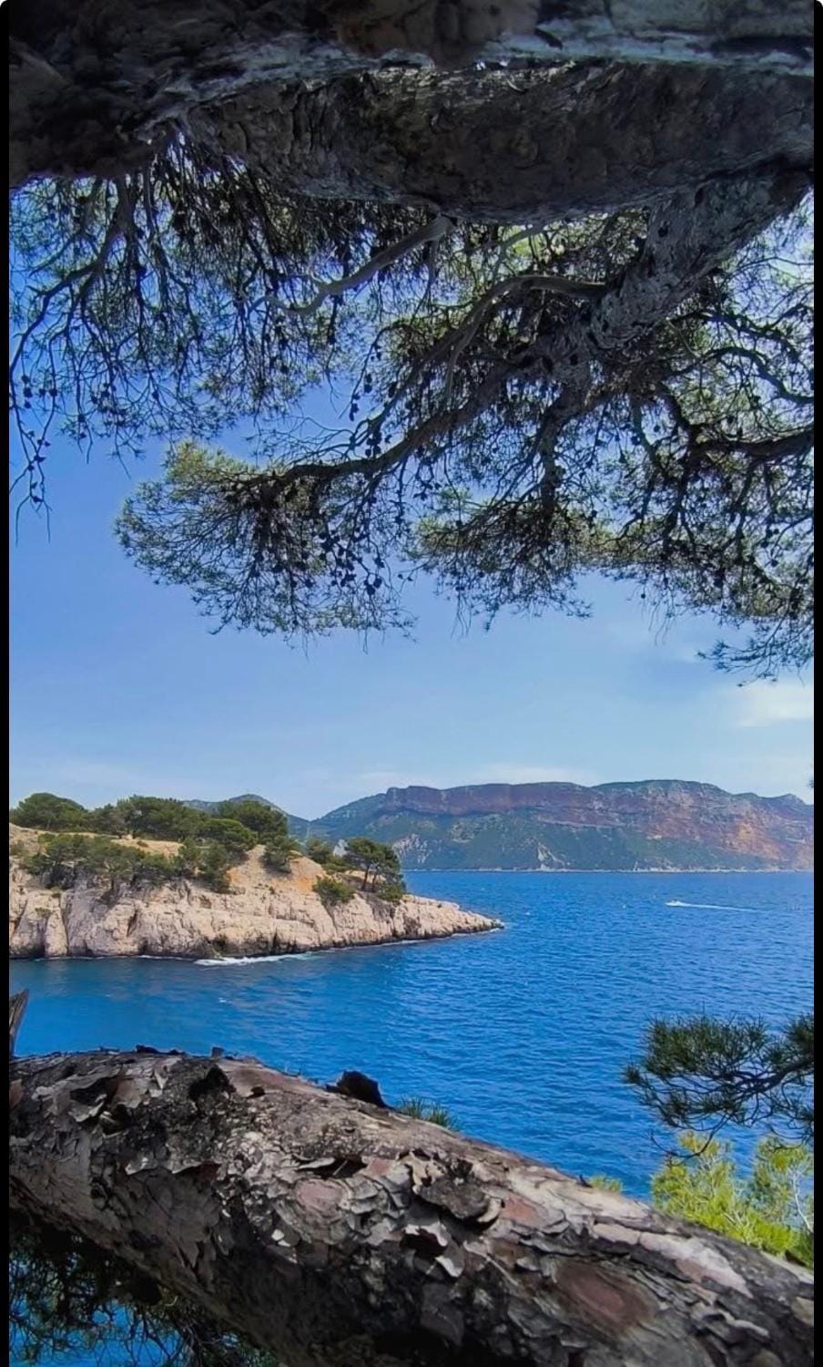 Cassis et ses merveilleuses Calanques Apartment in Cassis