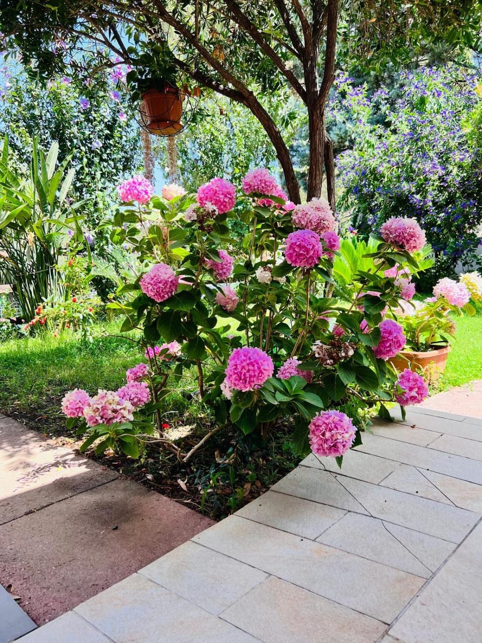 Garden, Inner courtyard view