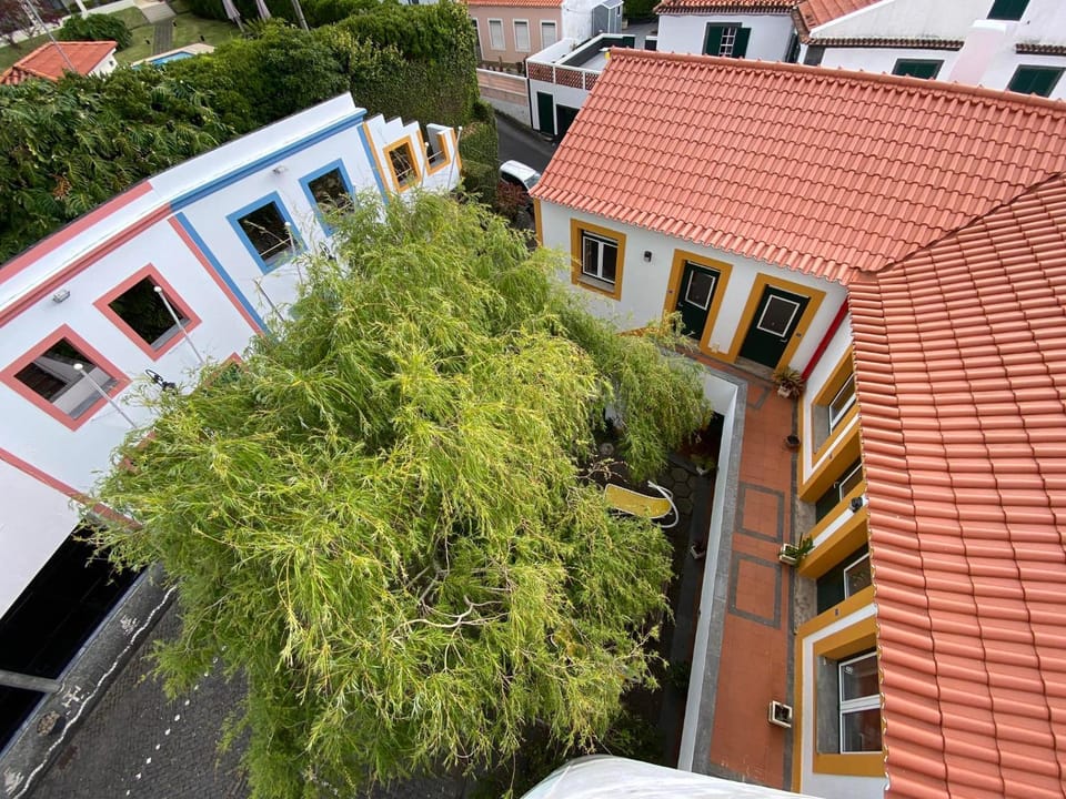 Bird's eye view, View (from property/room), Garden view