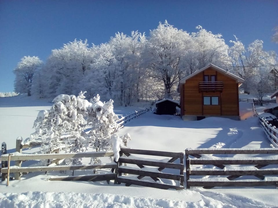 Property building, Winter