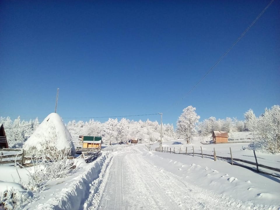 Neighbourhood, Natural landscape, Winter, Hiking