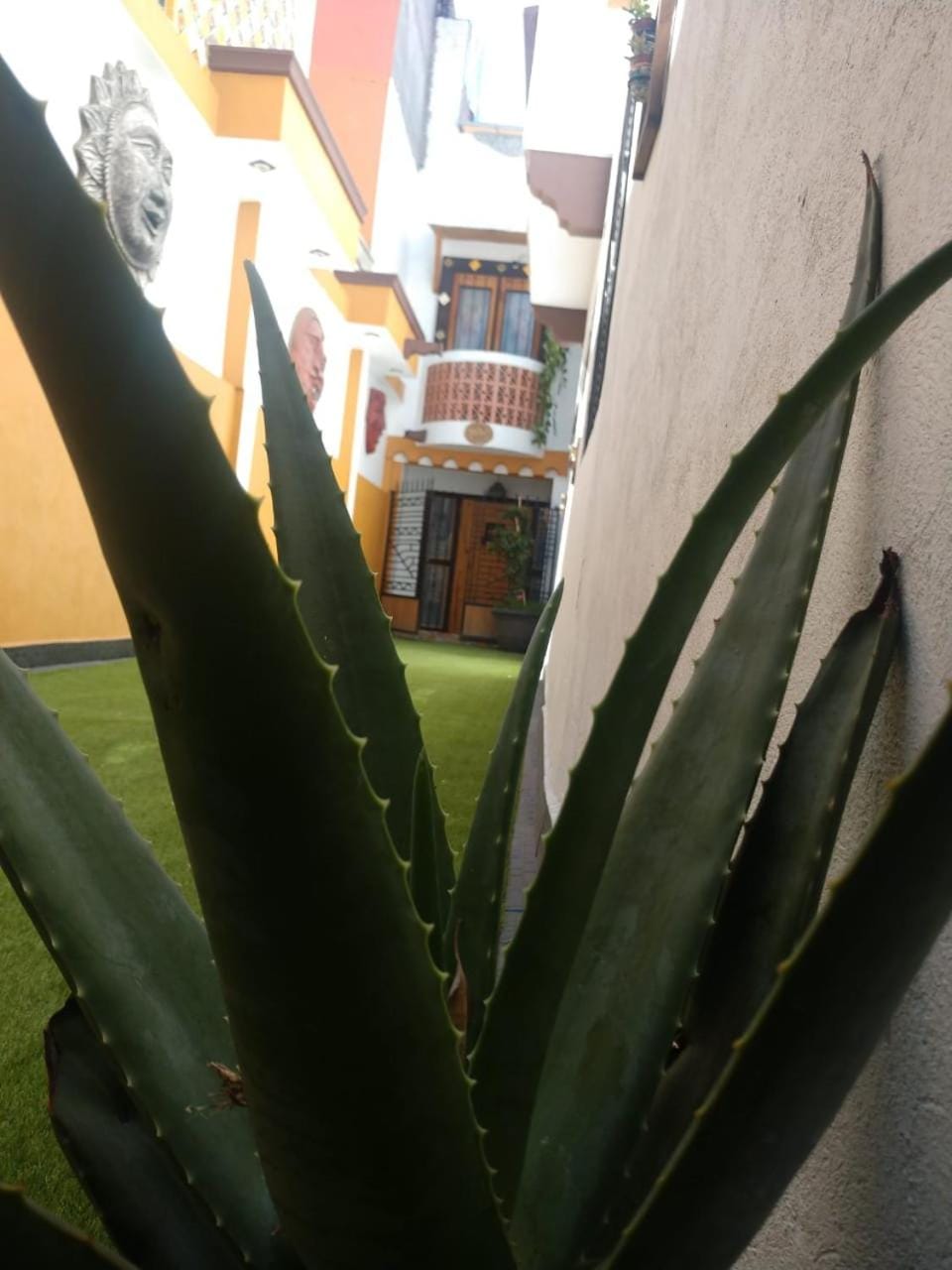 Casa Mexicana Patio House in Mexico City