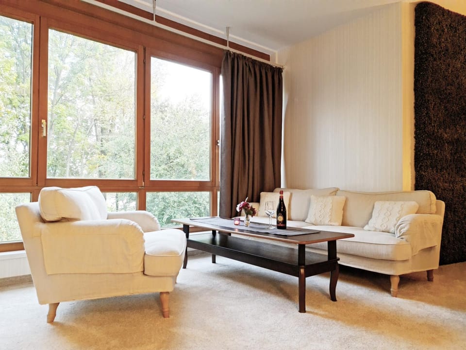 Living room, Seating area, Garden view