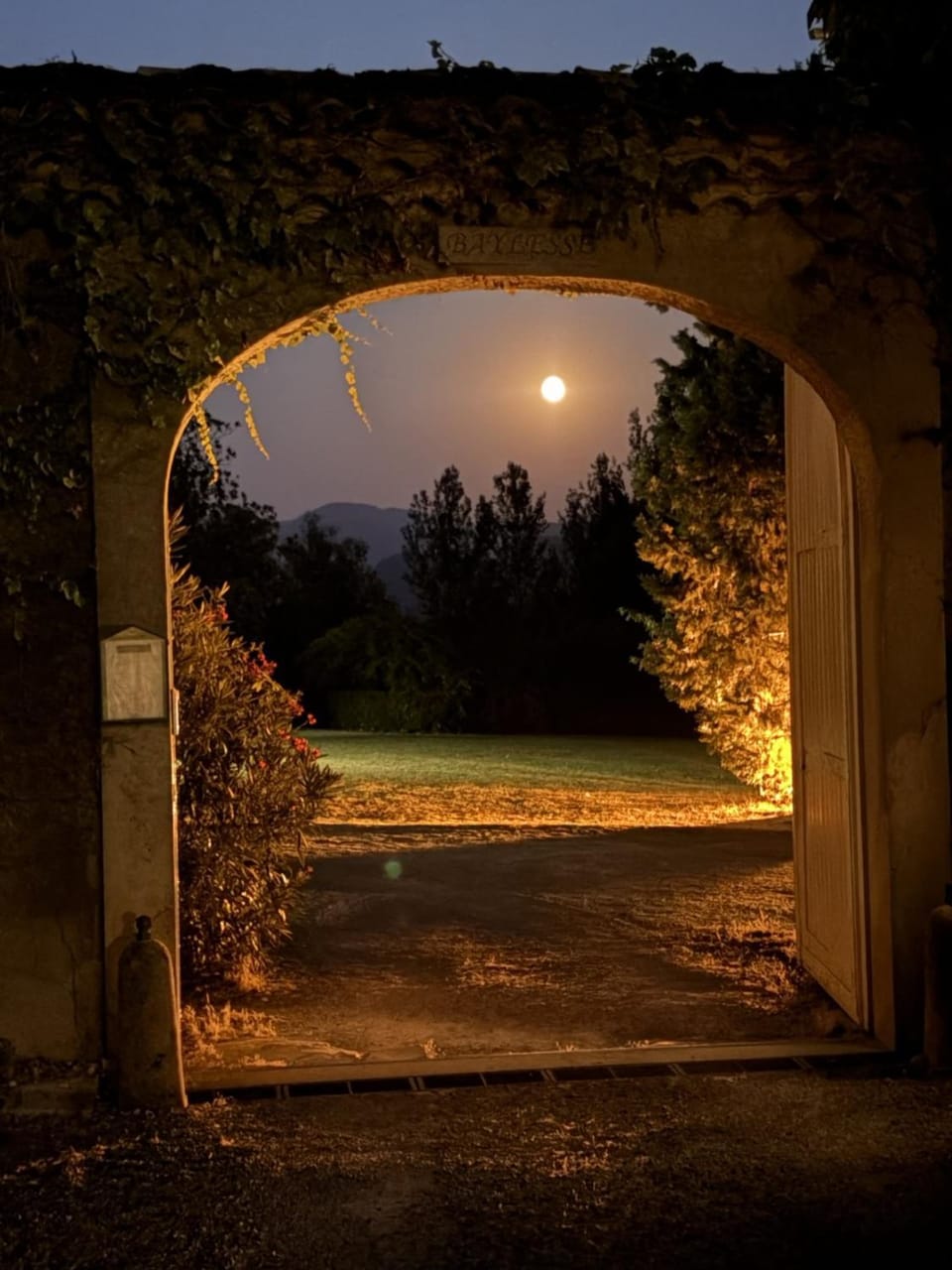 Night