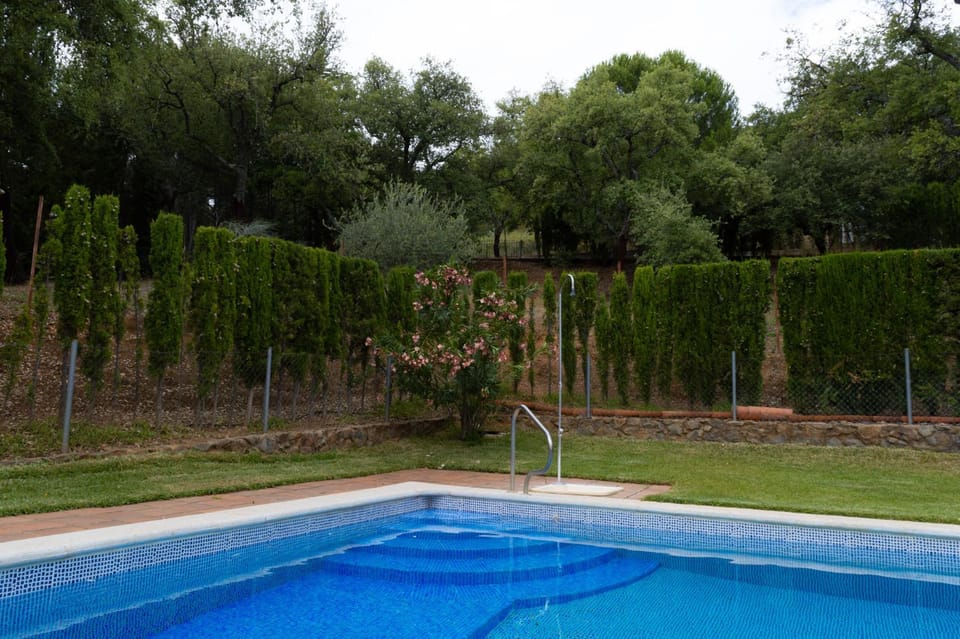 Swimming pool, Swimming pool