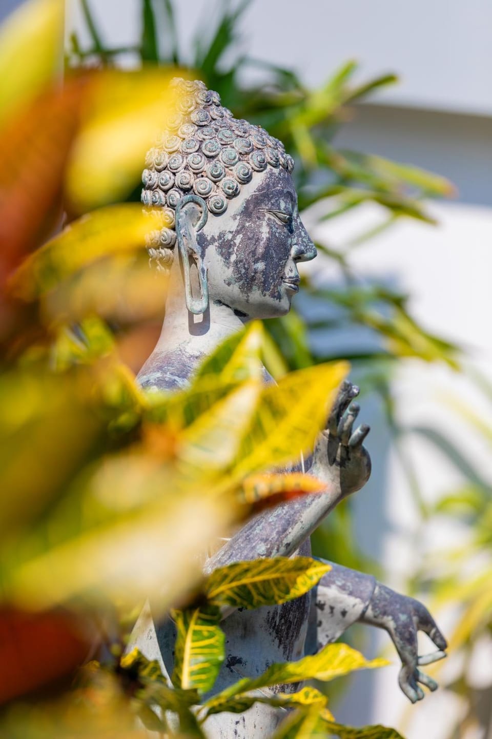 Garden, Decorative detail