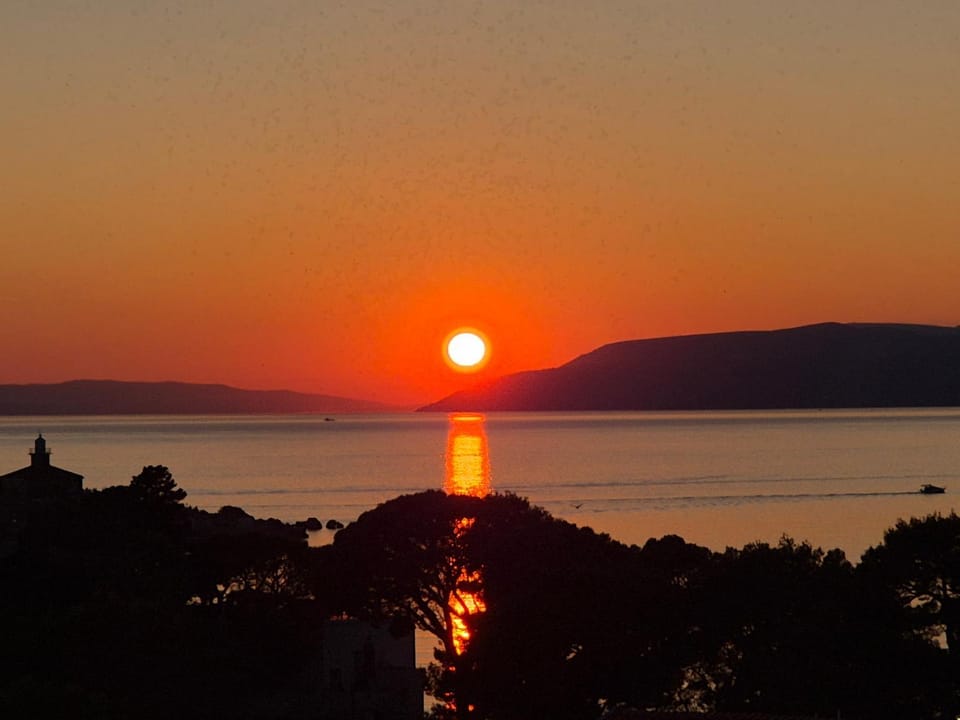 Apollo Makarska Premium Apartman Apartment in Makarska