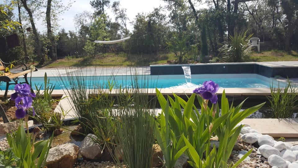 Patio, Garden, Swimming pool, Swimming pool