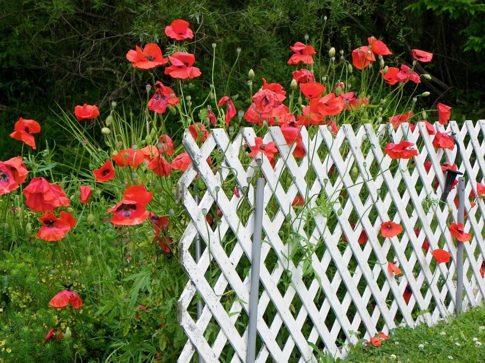 Spring, Decorative detail