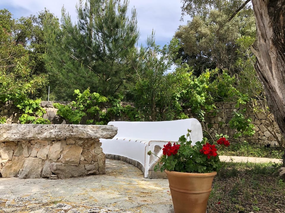 Garden, Balcony/Terrace
