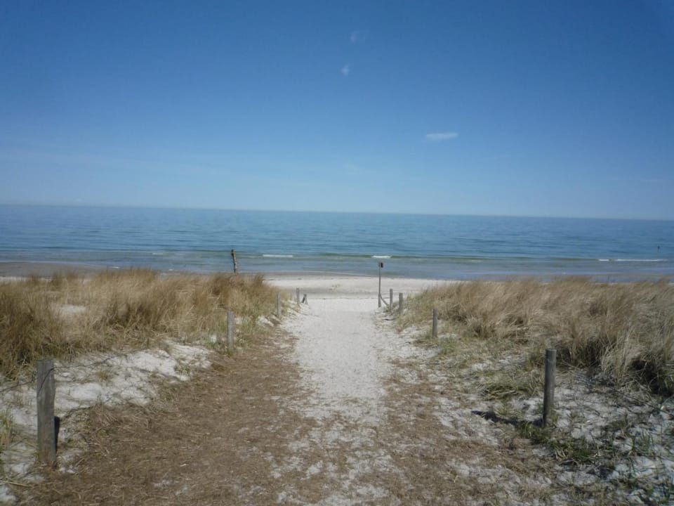 Natural landscape