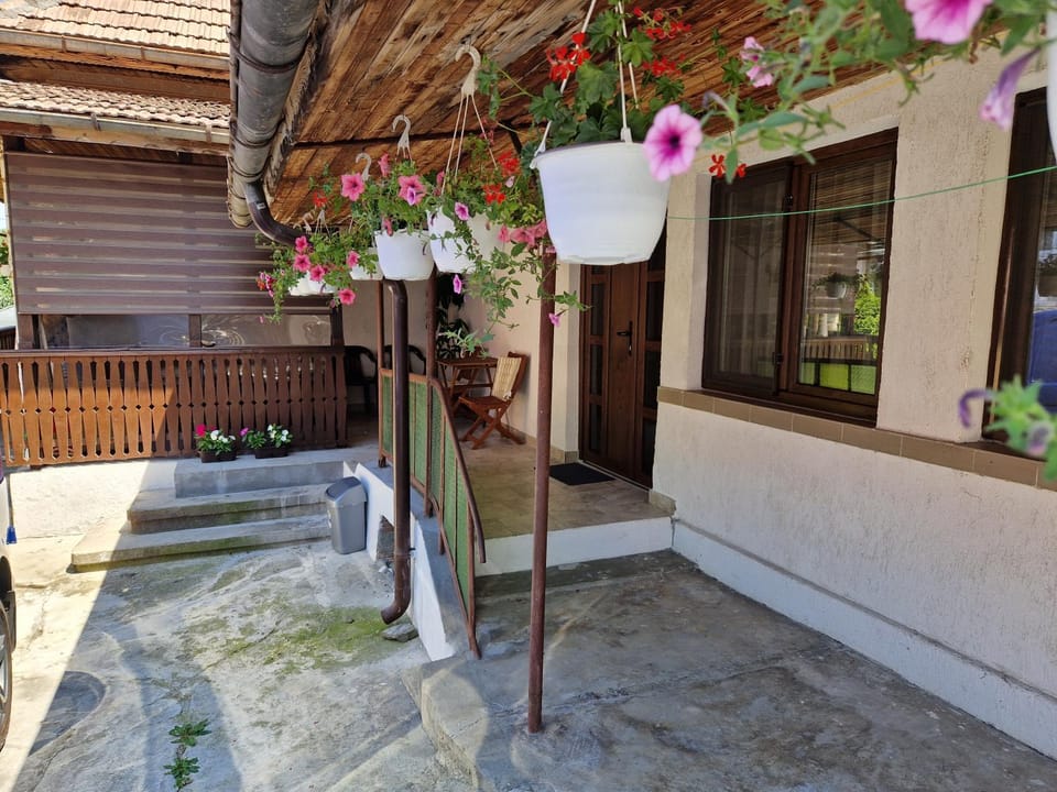 Casa Anomis House in Romania