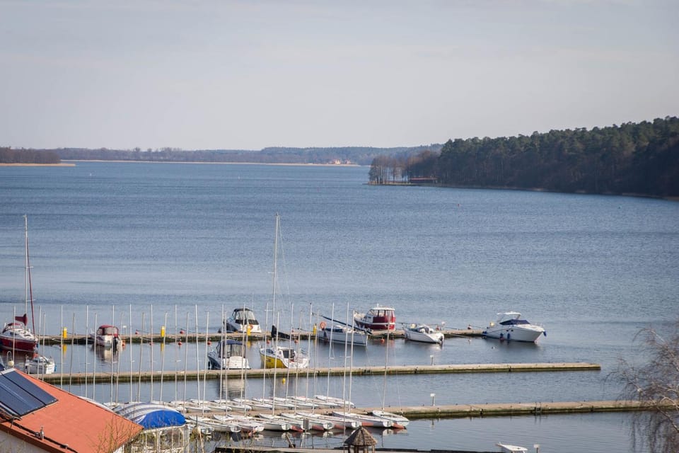 Pets, Lake view