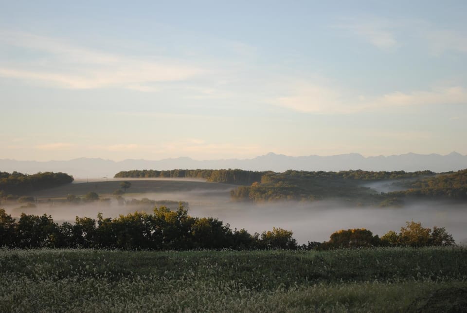 Natural landscape