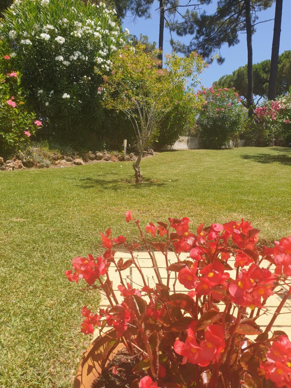 Garden, Garden view