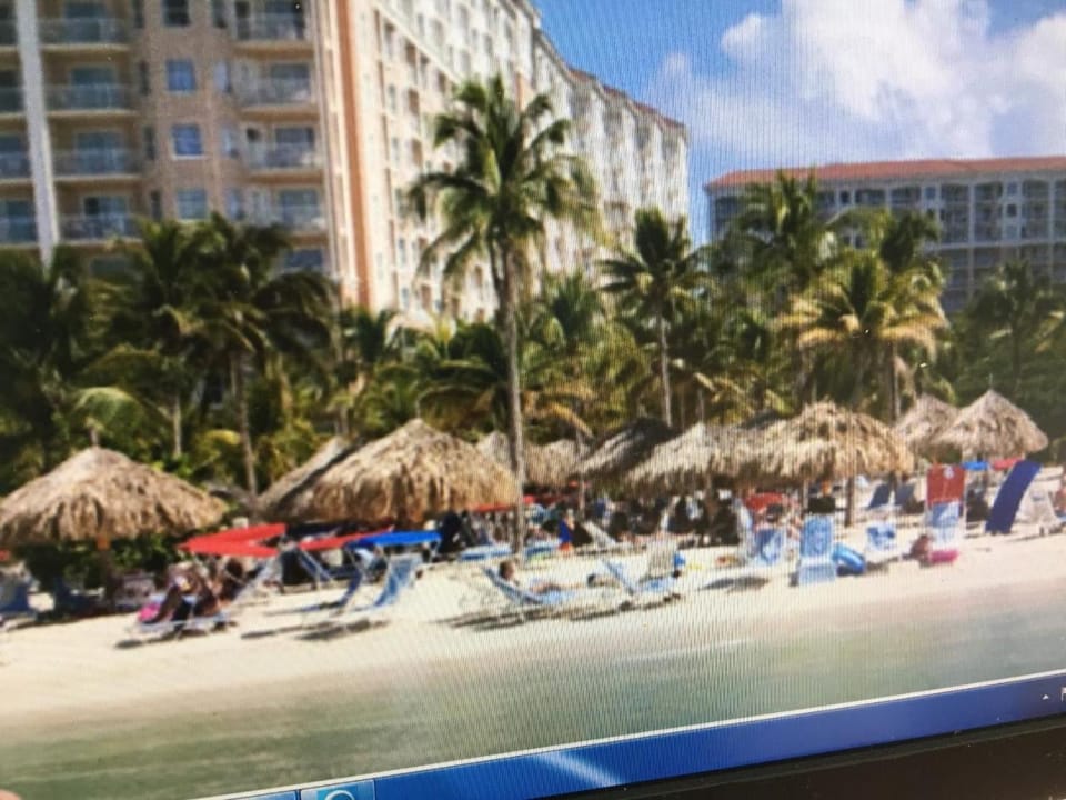 Condos at Marriott Aruba Surf and Ocean BeachFront Clubs Apartment in Noord