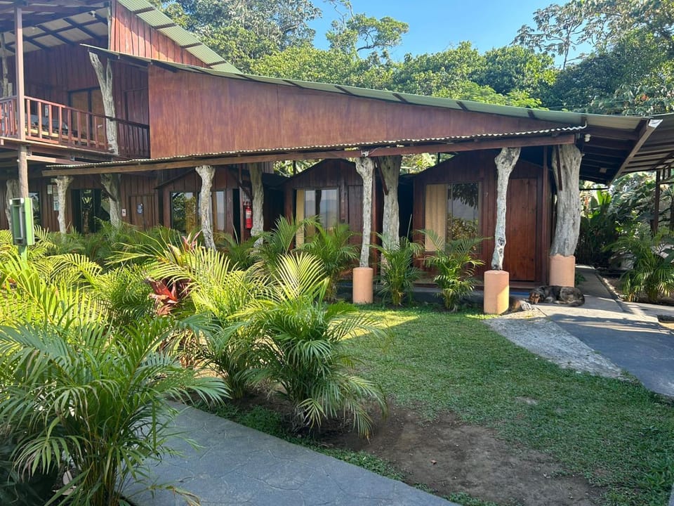 Property building, Day, Garden view