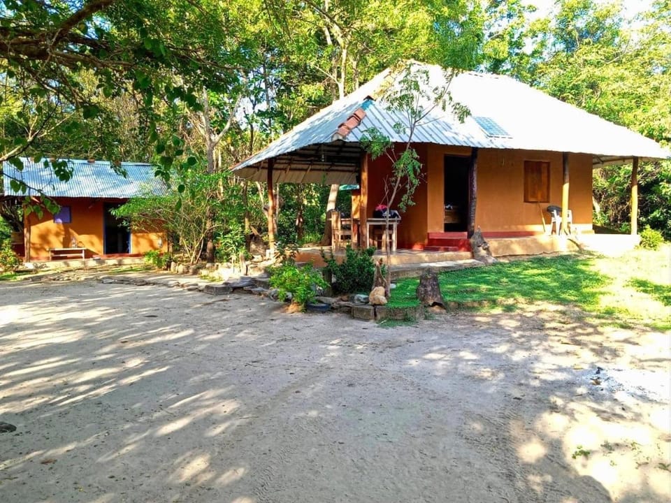 Property building, Spring, Day, Garden, Garden view