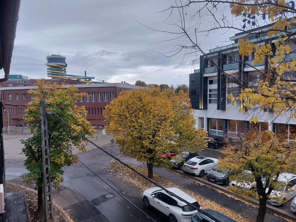 Neighbourhood, City view, Street view, Location