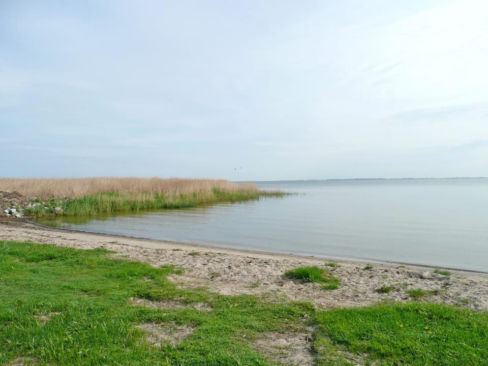 Natural landscape, Summer, Beach
