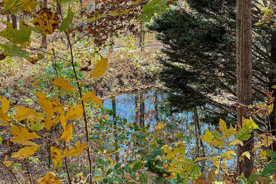 Best Kept Secret House in Georgia
