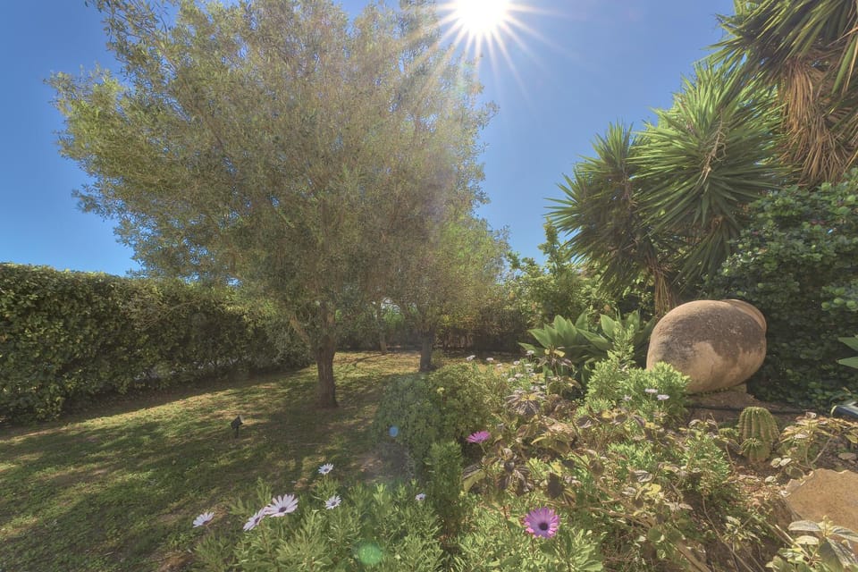 Can Juanito Villa in Ibiza