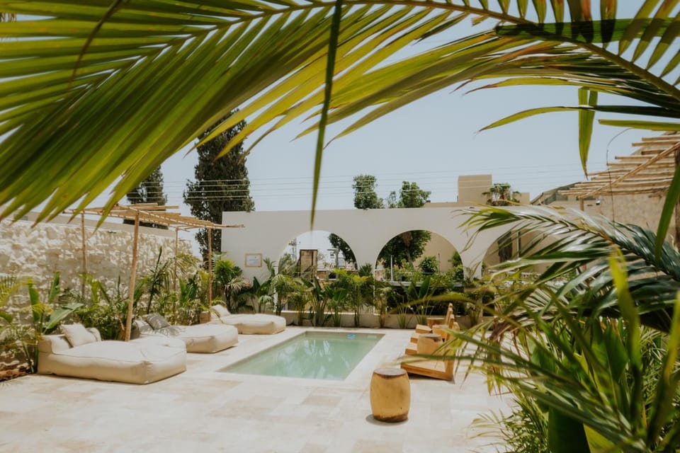 Patio, Day, Natural landscape, Garden, Garden view, Pool view, Swimming pool, sunbed