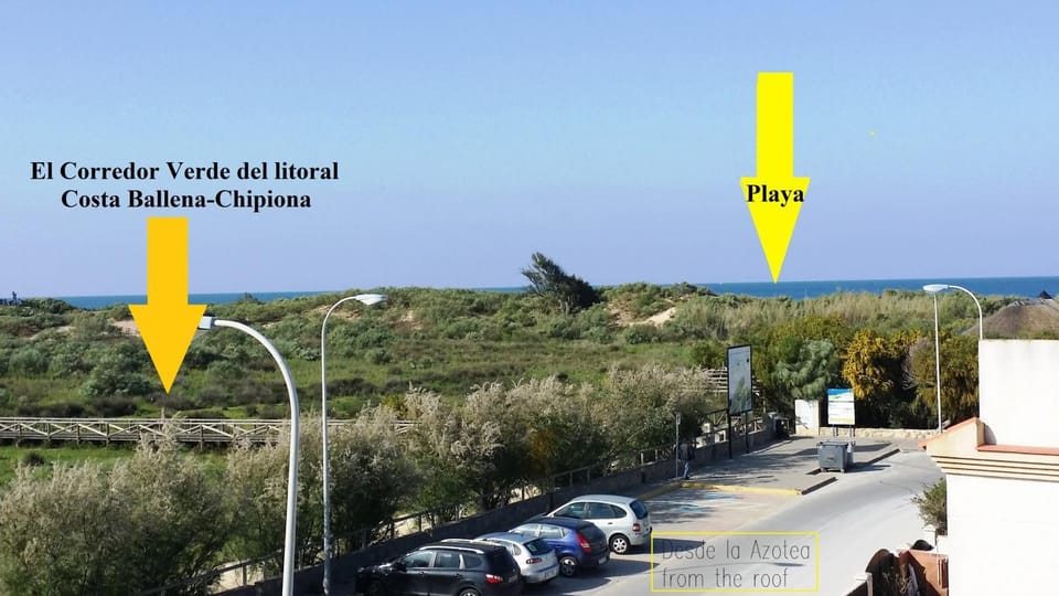 Day, Neighbourhood, Natural landscape, Sea view, Street view