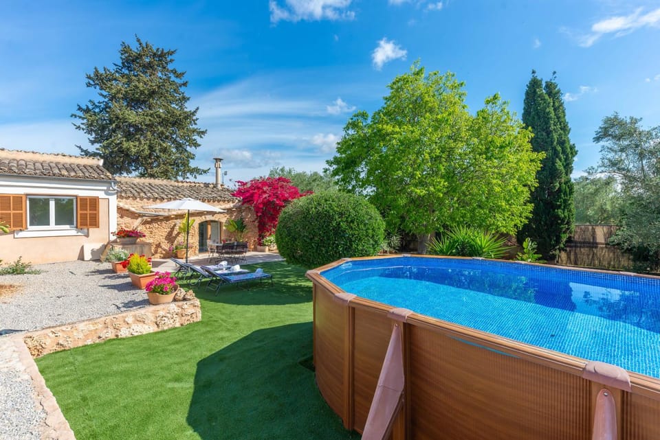 Garden, Pool view, Swimming pool