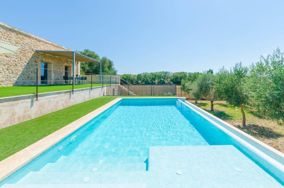 Swimming pool, Swimming pool