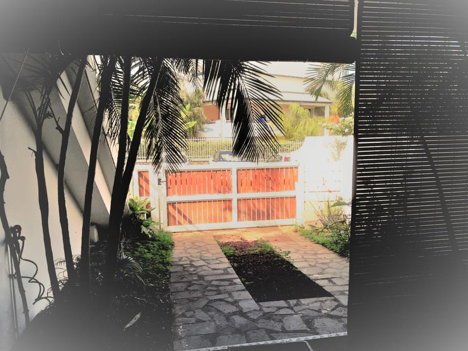Patio, Garden