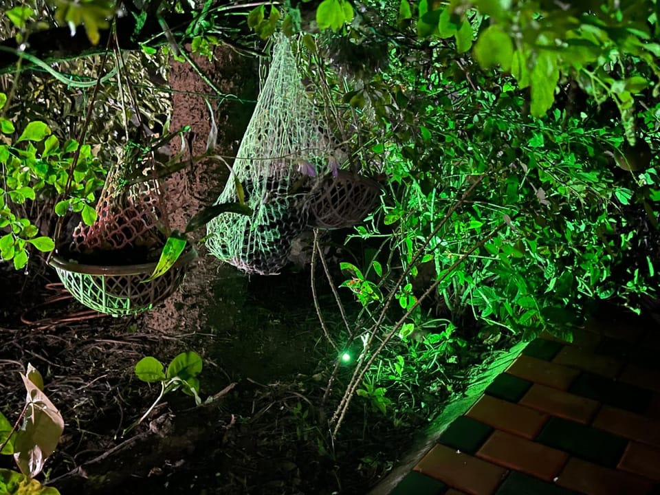 Avalon Grove Bed and Breakfast in Kerala