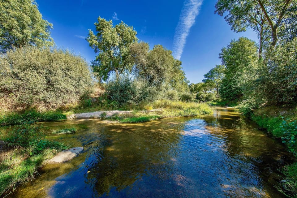 Natural landscape, Beach, River view