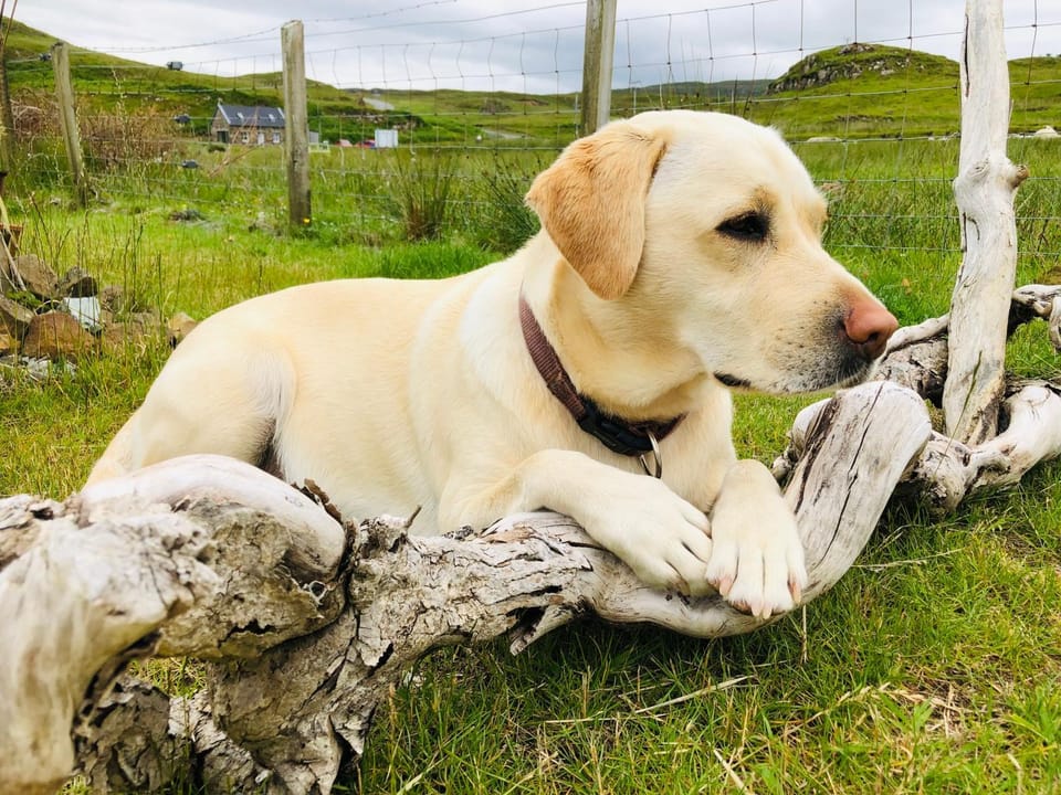 Emma's Self Contained luxury apartment Bed and Breakfast in Scotland