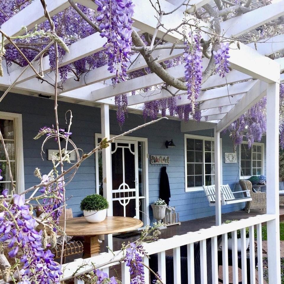 Property building, Balcony/Terrace